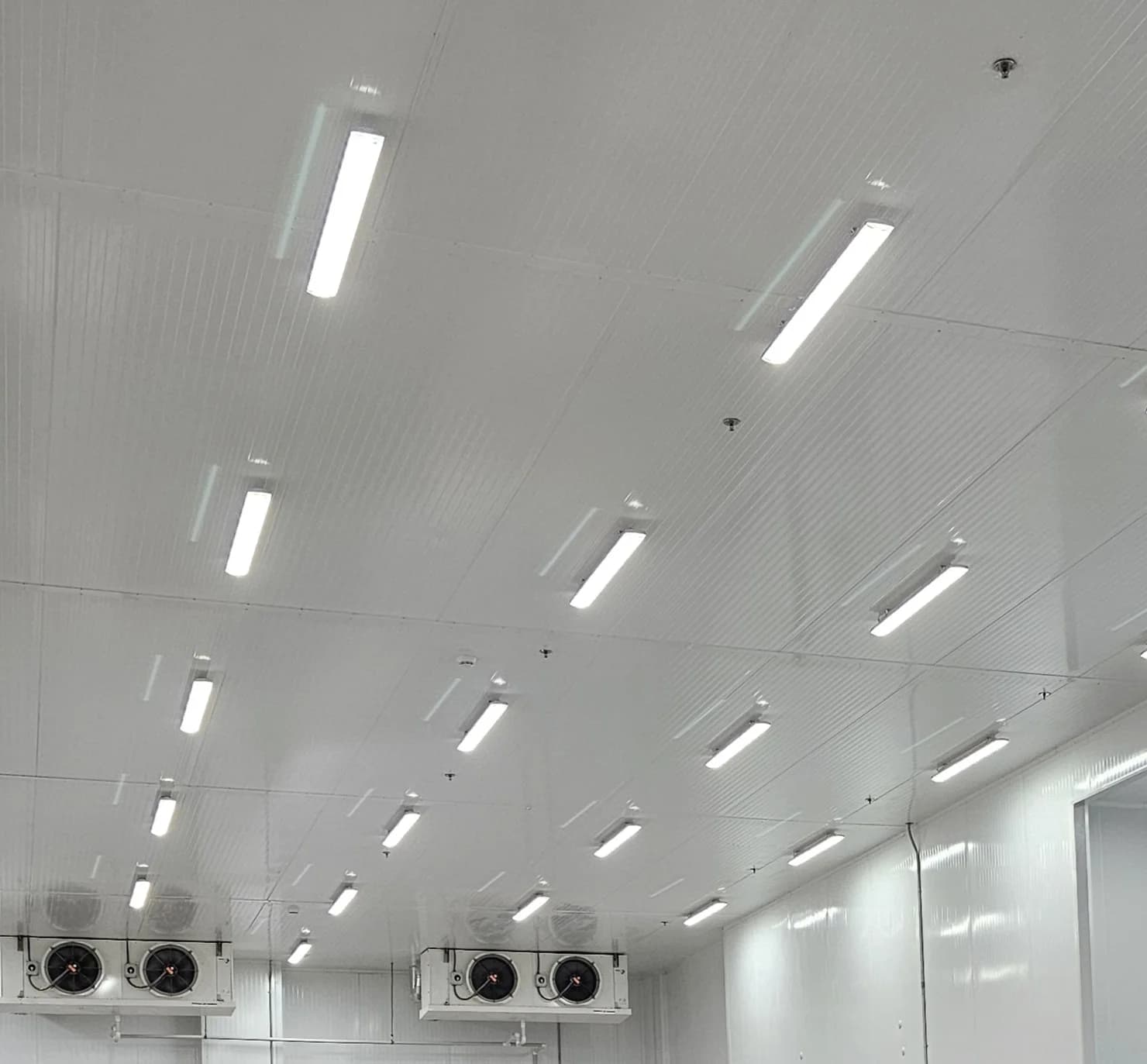 Coldroom and Warehouse Lighting